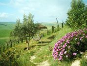 Ferienhaus Andalusien Finca Appartements mit Pool inmitten der natur